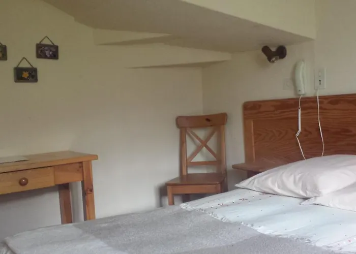 Hotel L'ours Blanc 3*